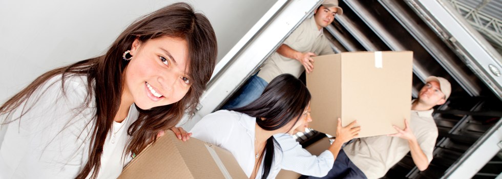 Professional Removalists Fennell Bay